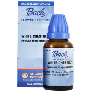 https://cdn.shopify.com/s/files/1/1857/6931/products/EFcUBGeTxQ.jpg?v=1644585841